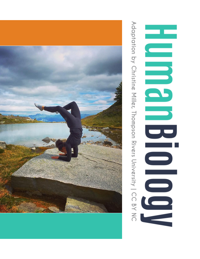 Textbook cover