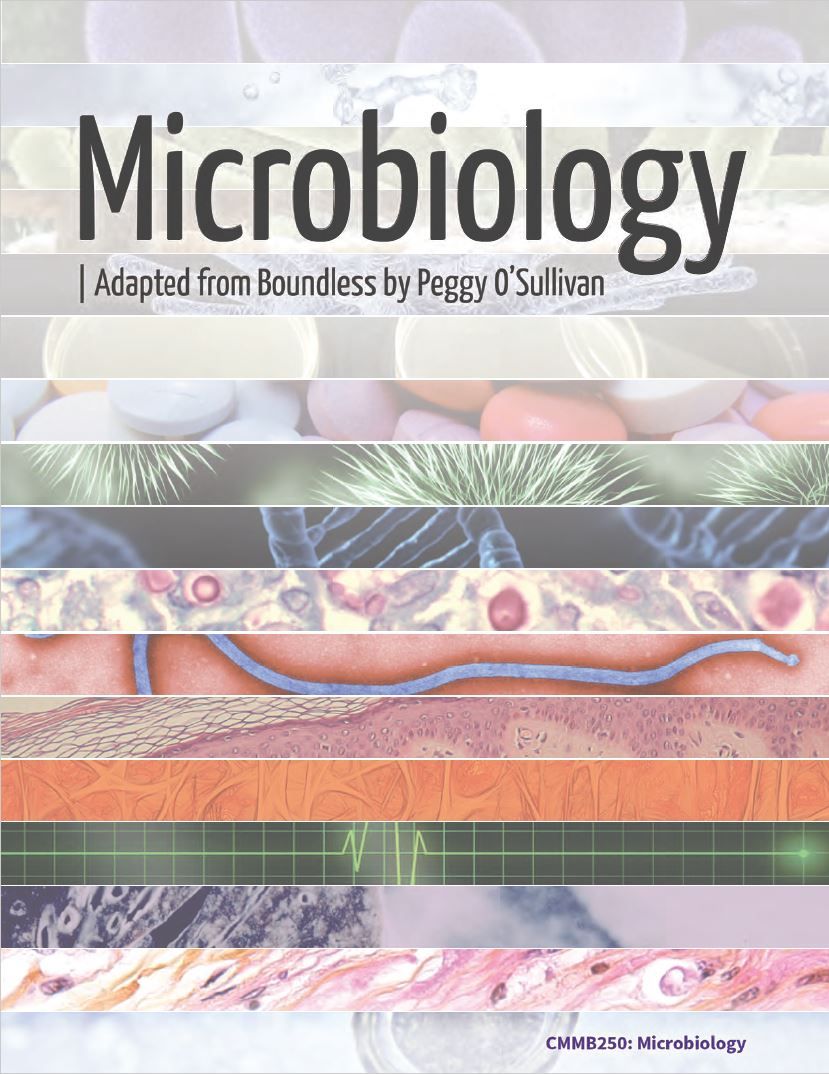 Textbook cover