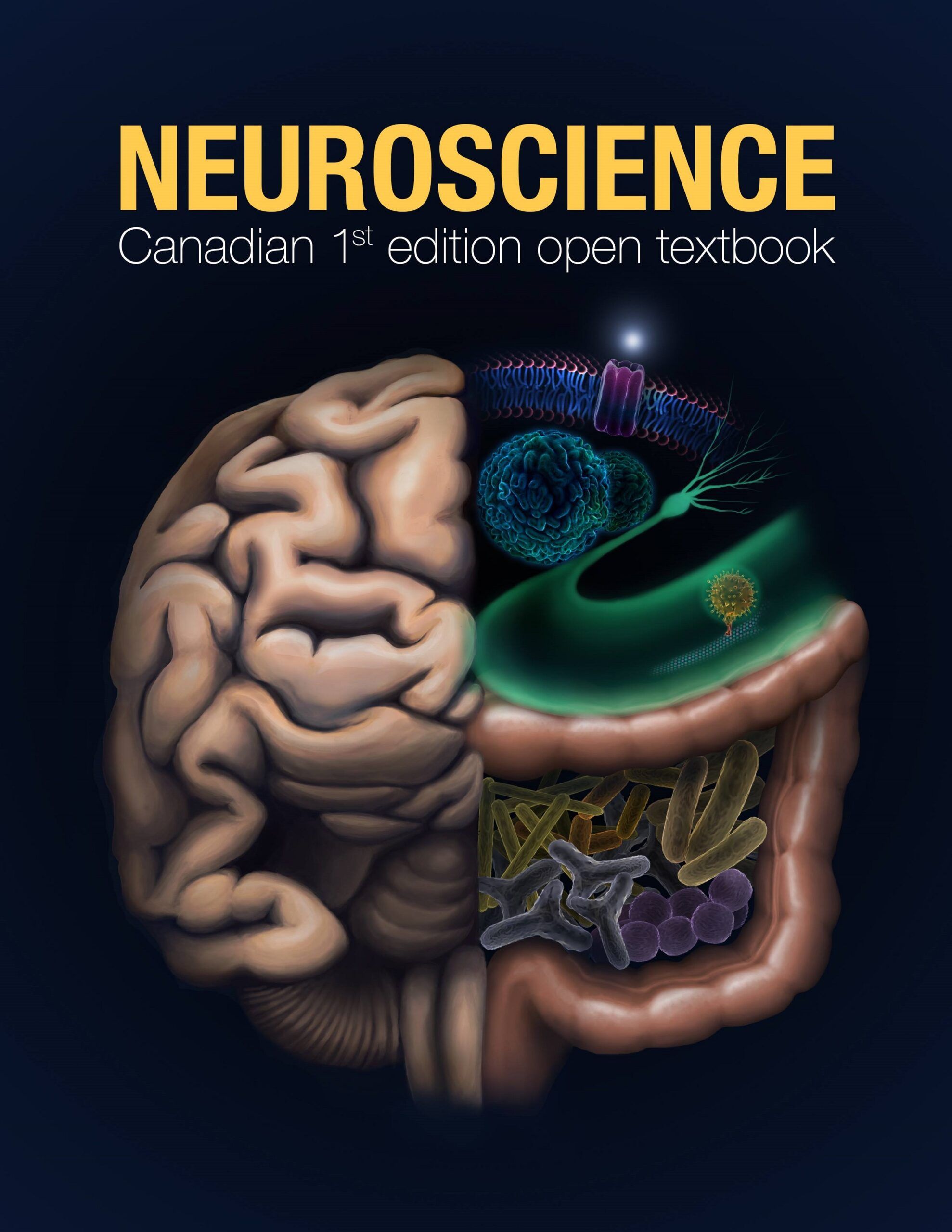 Textbook cover