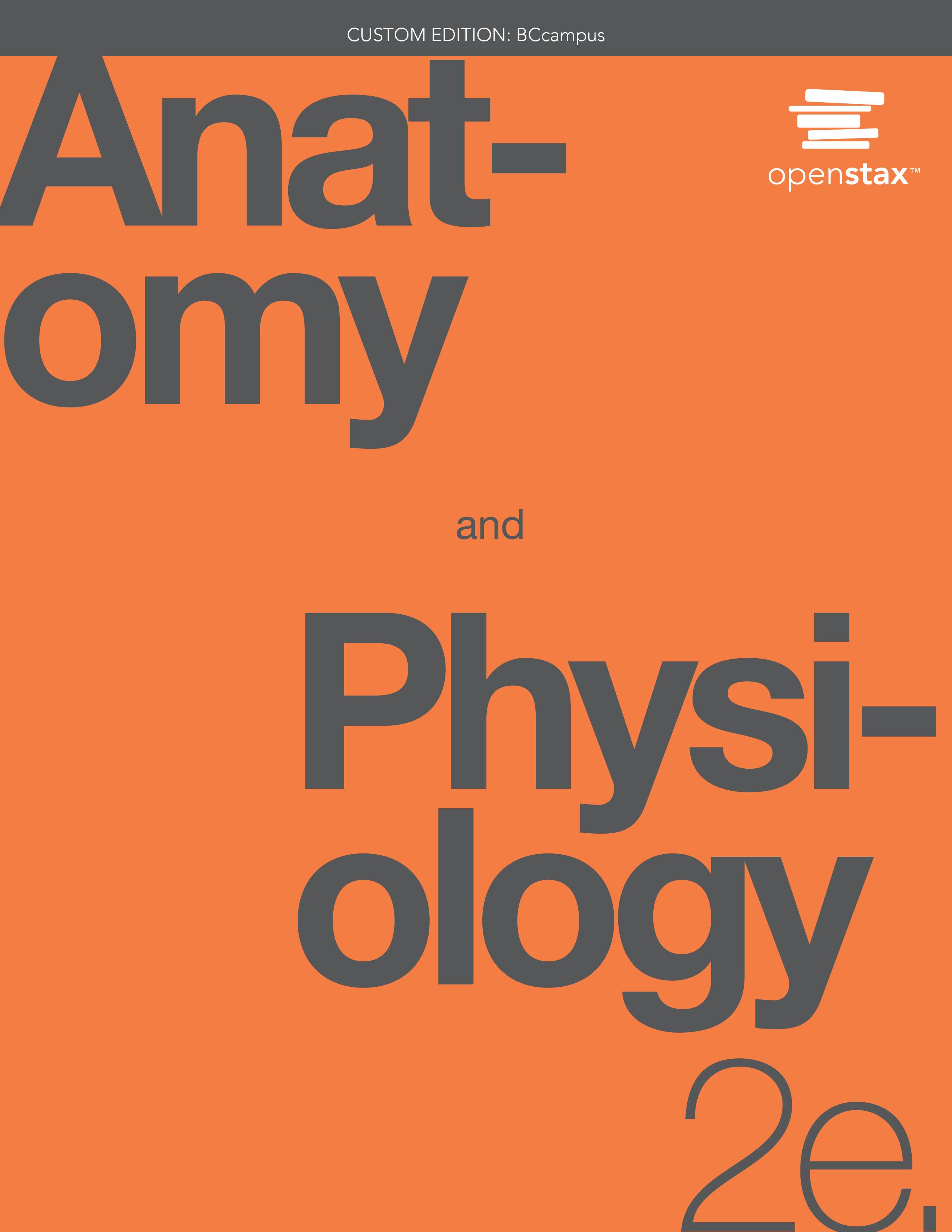 Textbook cover