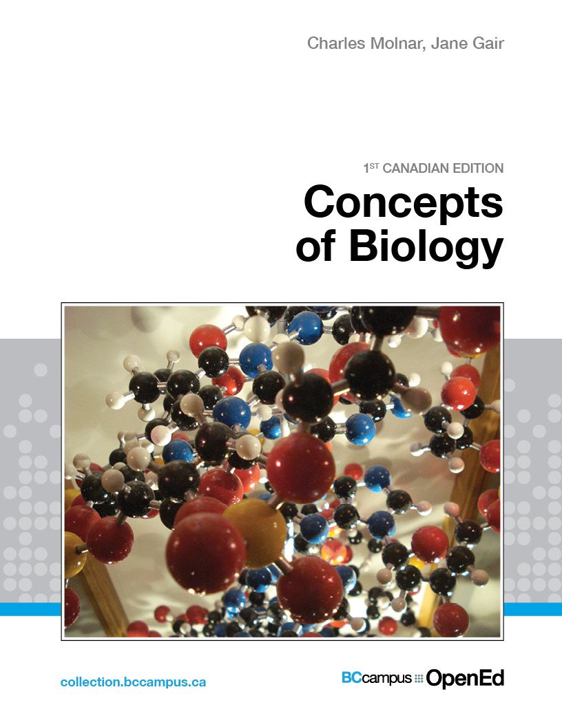 Textbook cover