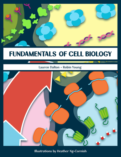 Textbook cover